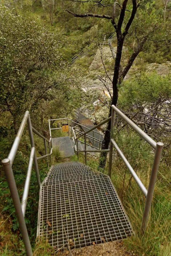 Wollomombi Falls (34)